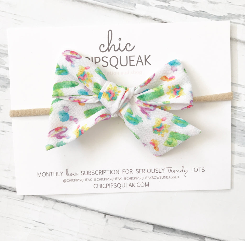 Colorful Cactus Hand Tied Pipsqueak Bow